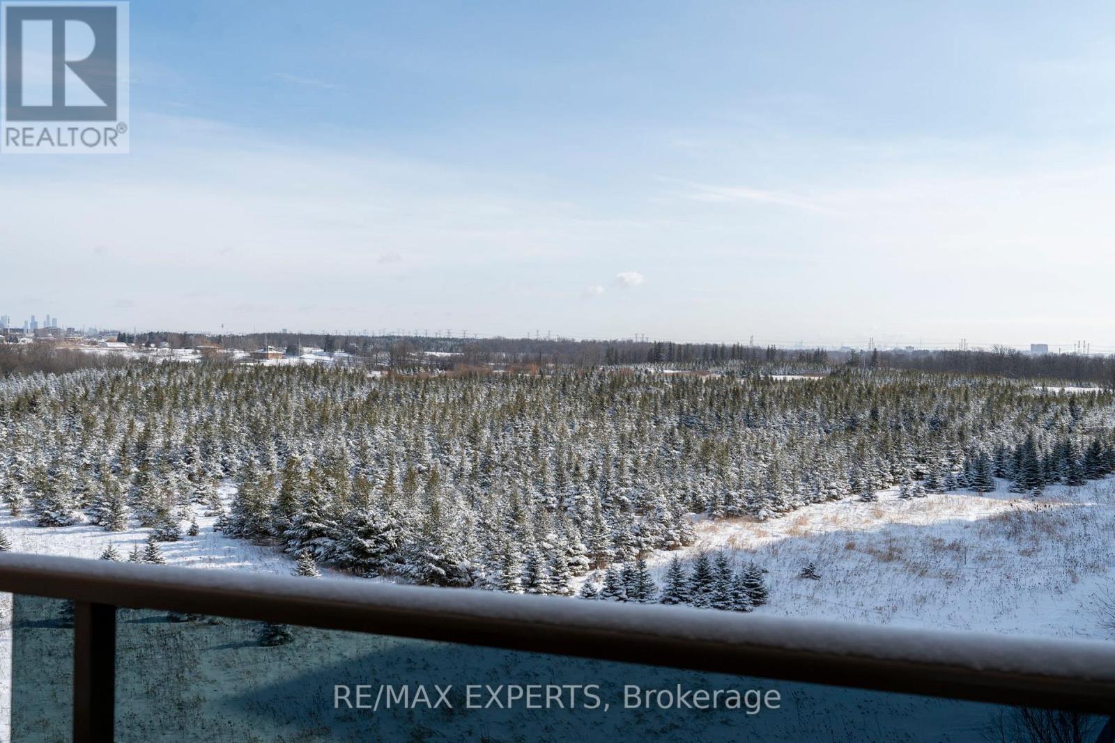 406 - 10 Dayspring Circle, Brampton, Ontario  L6P 1B9 - Photo 15 - W12734842