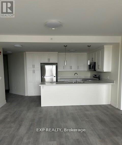 301 - 300b Fourth Avenue, St. Catharines, Ontario  L2R 6P9 - Photo 4 - X12734902