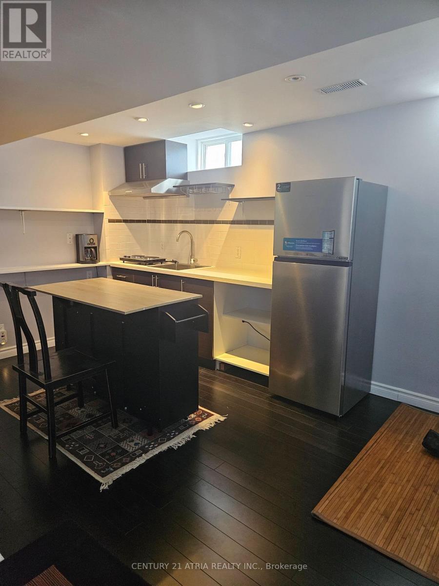 Bsmt - 143 Maroon Drive, Richmond Hill, Ontario  L4E 5B7 - Photo 11 - N12735074