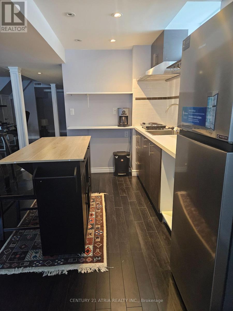 Bsmt - 143 Maroon Drive, Richmond Hill, Ontario  L4E 5B7 - Photo 12 - N12735074