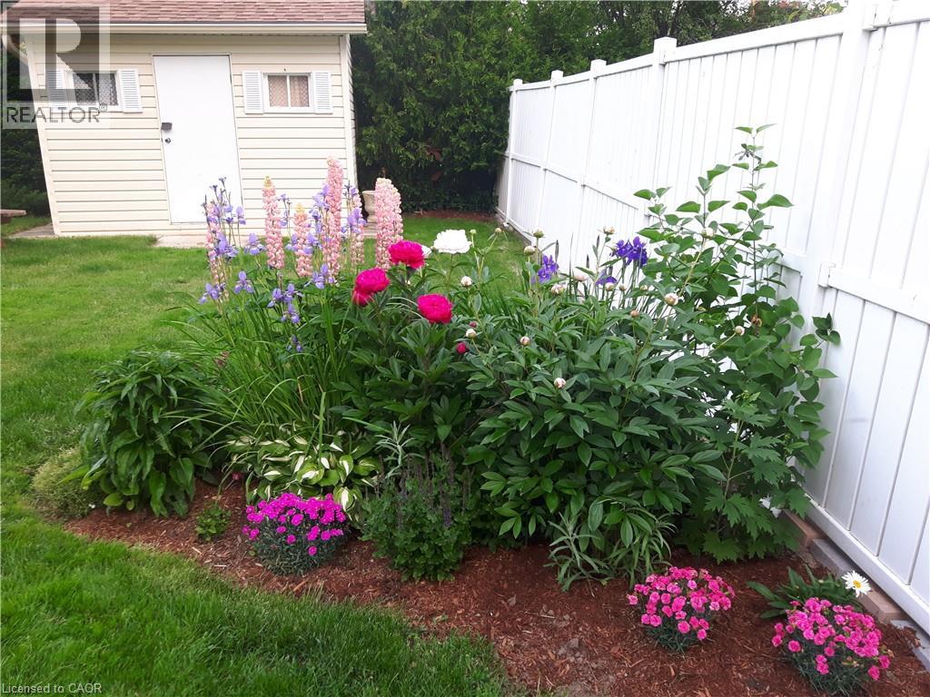 204 Rodney Street, Waterloo, Ontario  N2J 1G5 - Photo 50 - 40800206