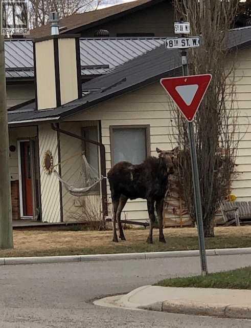 808 5 Avenue Sw, High River, Alberta  T1V 1B9 - Photo 31 - A2274687