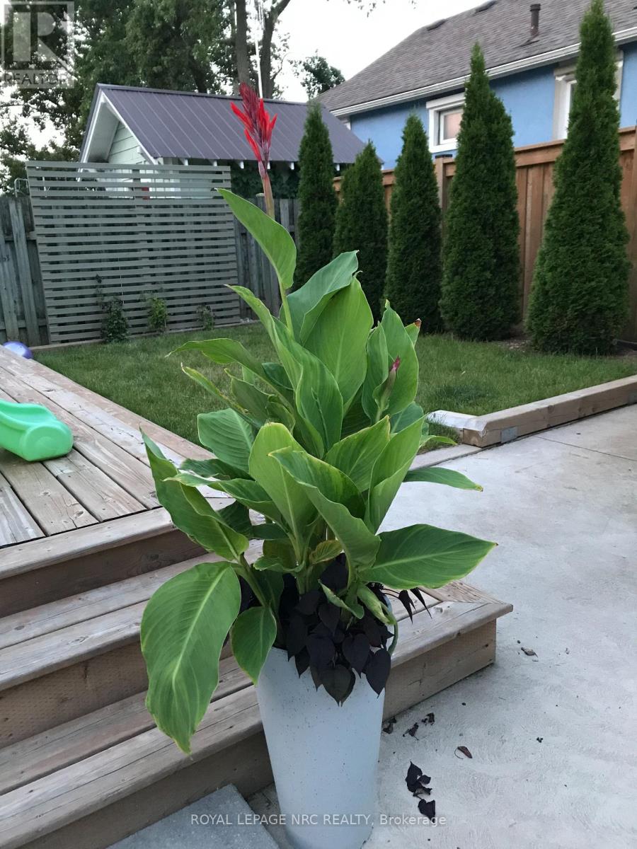 76 Henry Street, St. Catharines, Ontario  L2R 5V2 - Photo 35 - X12735258