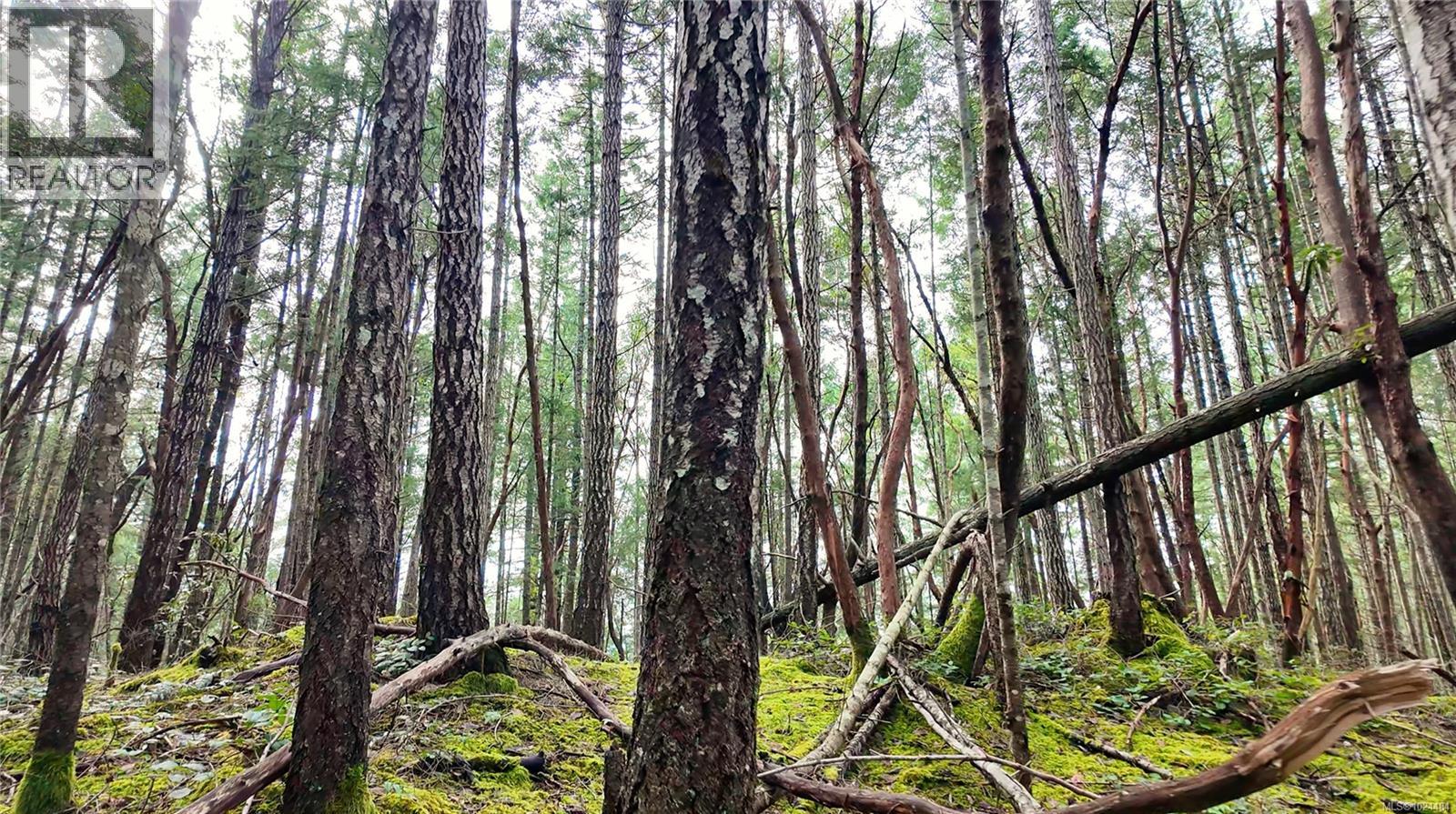 Lt 15 Coats Dr, Gabriola Island, British Columbia  V0R 1X4 - Photo 4 - 1024484