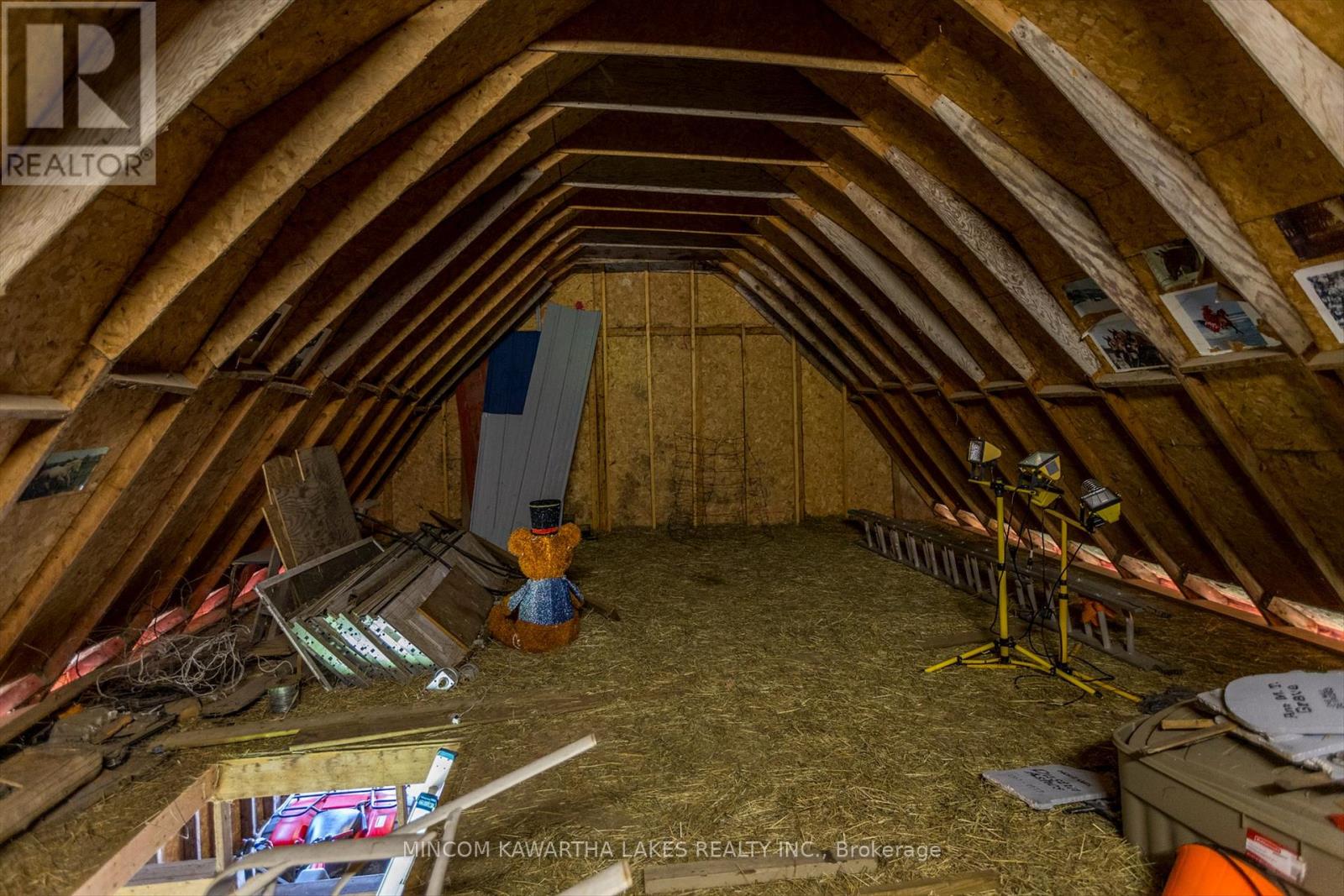 1405 Hiawatha Line, Otonabee-South Monaghan, Ontario  K9J 6X8 - Photo 39 - X12373406