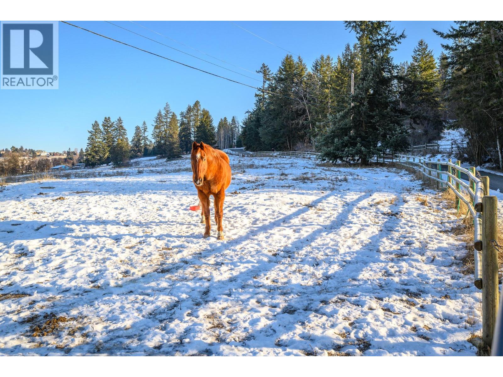 5860 Learmouth Road, Lavington, British Columbia  V1B 3E6 - Photo 63 - 10374014