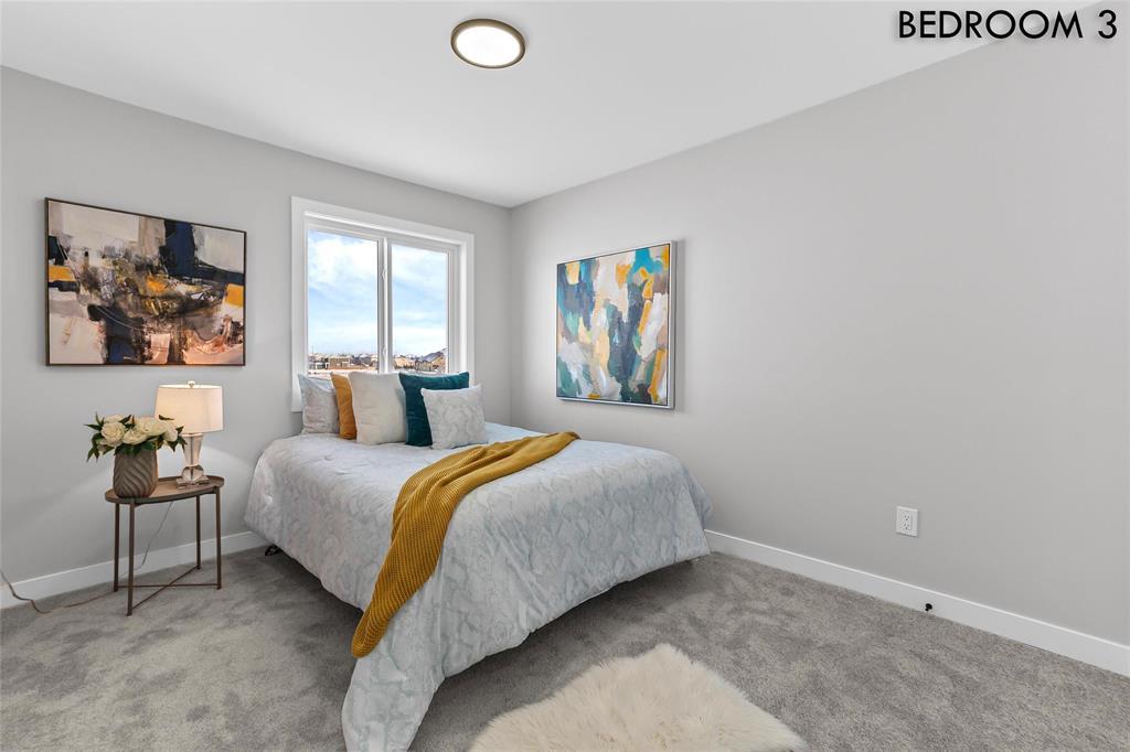 233 Numeracy Lane, Winnipeg, Manitoba  R2P 3A6 - Photo 24 - 202601278