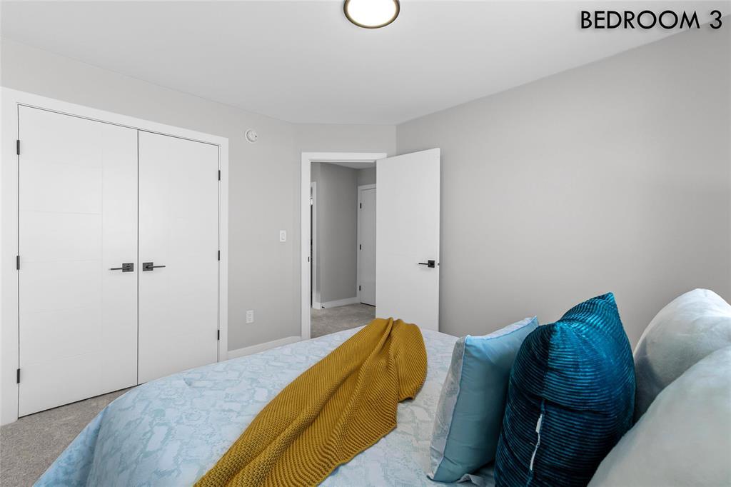 233 Numeracy Lane, Winnipeg, Manitoba  R2P 3A6 - Photo 25 - 202601278