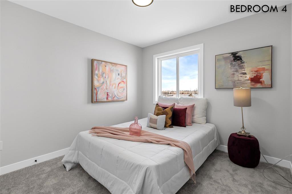 233 Numeracy Lane, Winnipeg, Manitoba  R2P 3A6 - Photo 26 - 202601278