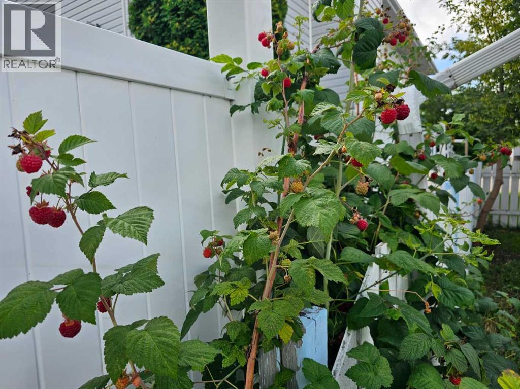 1934 8 Avenue, Wainwright, Alberta  T9W 1H6 - Photo 45 - A2281461