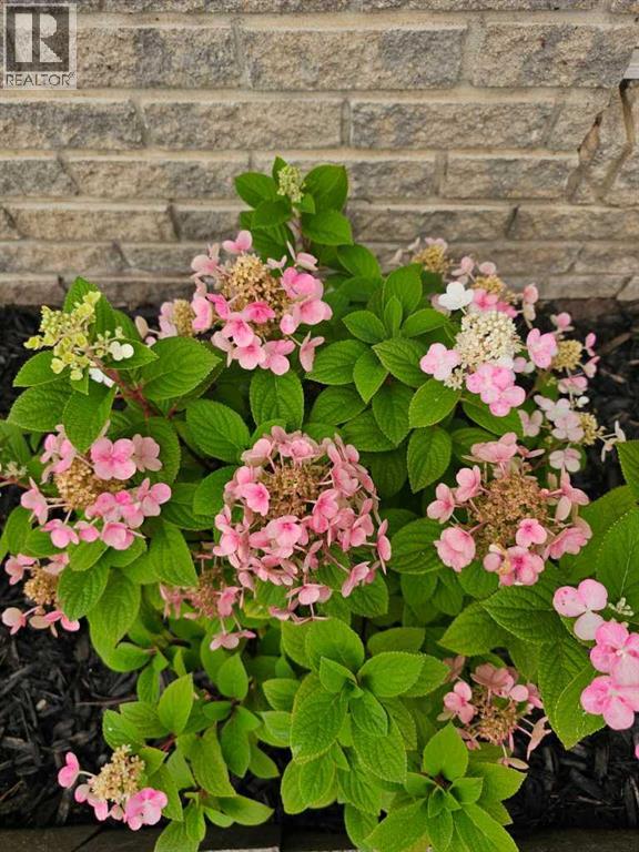 1934 8 Avenue, Wainwright, Alberta  T9W 1H6 - Photo 44 - A2281461