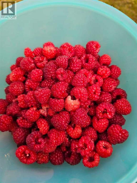 1934 8 Avenue, Wainwright, Alberta  T9W 1H6 - Photo 46 - A2281461