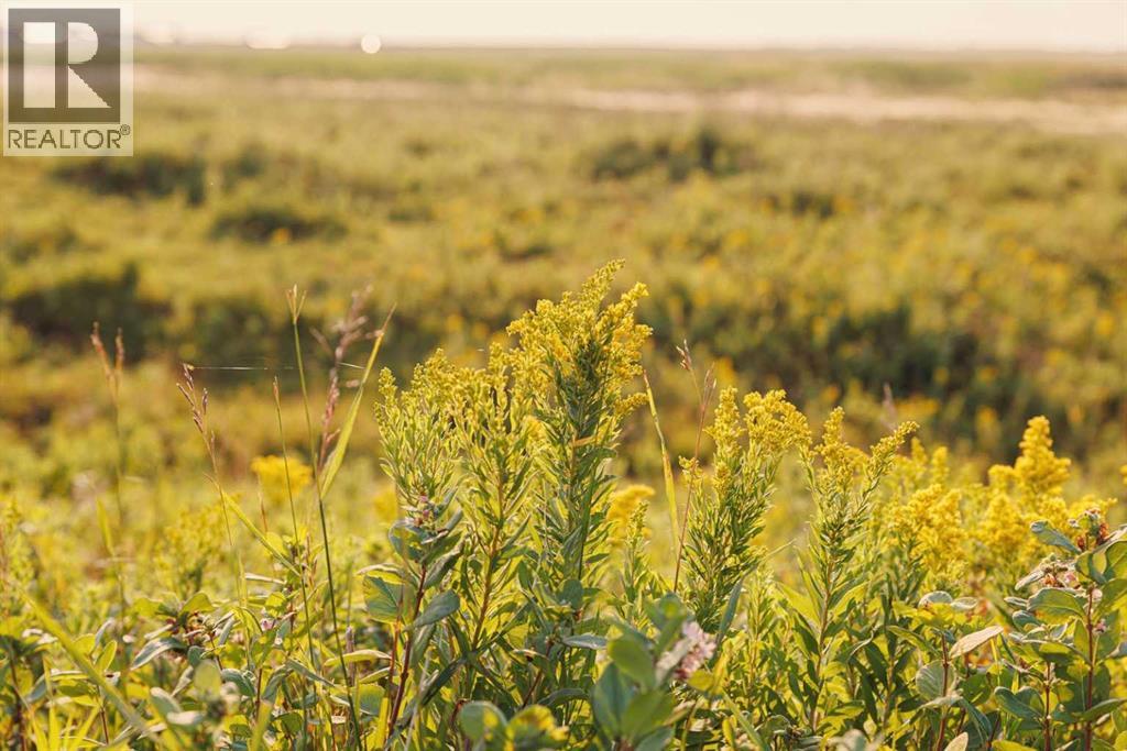 Parcel 8 Range Road 271 just south of Highway 9., Rural Rocky View County, Alberta