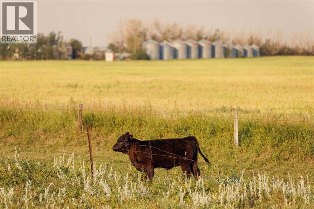 Parcel 8 Range Road 271 Just South Of Highway 9., Rural Rocky View County, Alberta  T0M 1G0 - Photo 3 - A2158857