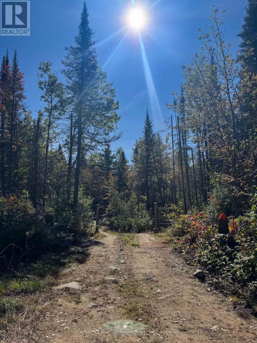 2d Taggart Lake Road, Papineau-Cameron, Ontario  P0H 1V0 - Photo 5 - X12404717