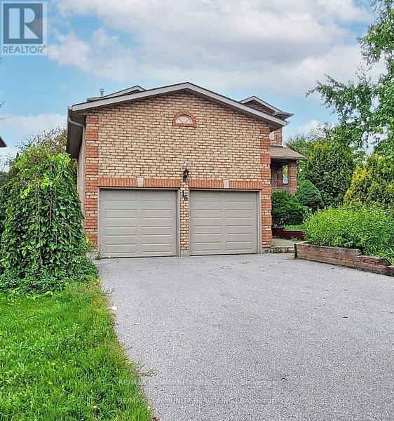 BASEMENT - 16 LITNER CRESCENT, Georgina, Ontario