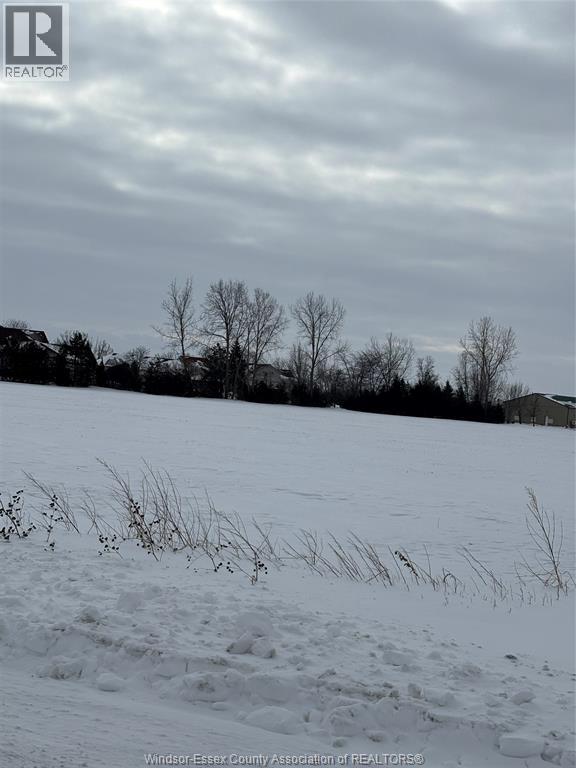 5075 North Talbot Road, Tecumseh, Ontario N0R 1K0 - Photo 3 - 26002024