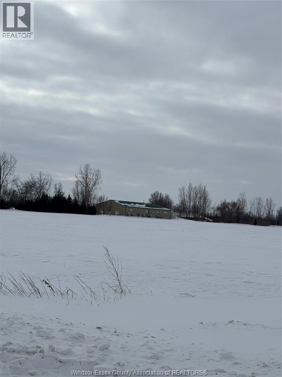 5075 North Talbot Road, Tecumseh, Ontario N0R 1K0 - Photo 4 - 26002024