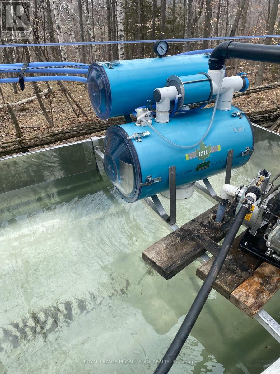 Pt Lt 23 & 24 County Road 24, Alnwick/haldimand, Ontario  K0K 2X0 - Photo 19 - X12735942