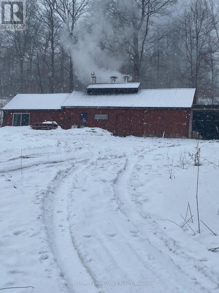 Pt Lt 23 & 24 County Road 24, Alnwick/haldimand, Ontario  K0K 2X0 - Photo 21 - X12735942