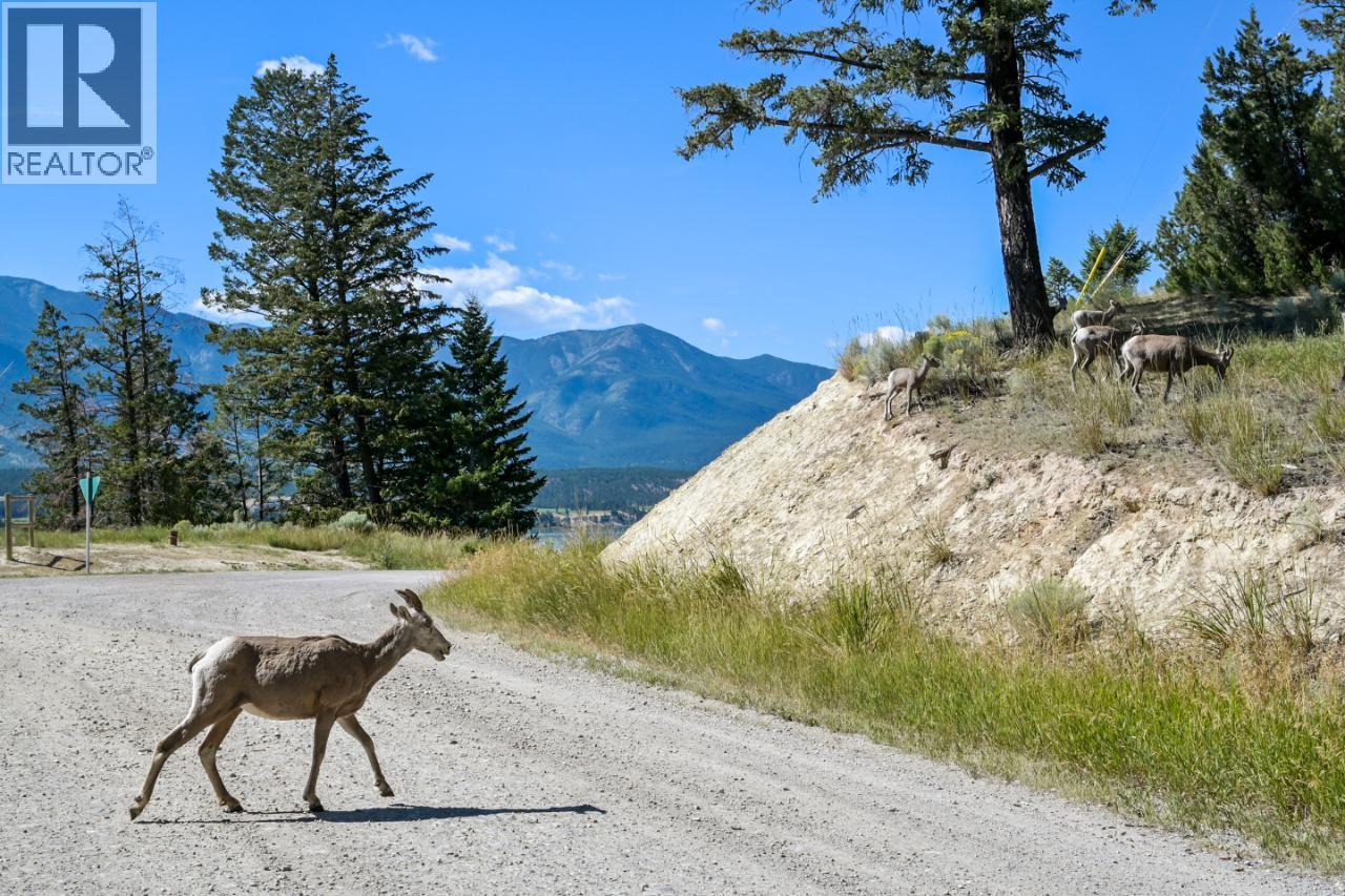8679 Cottage Lane, Canal Flats, British Columbia  V0B 1B0 - Photo 27 - 10374127