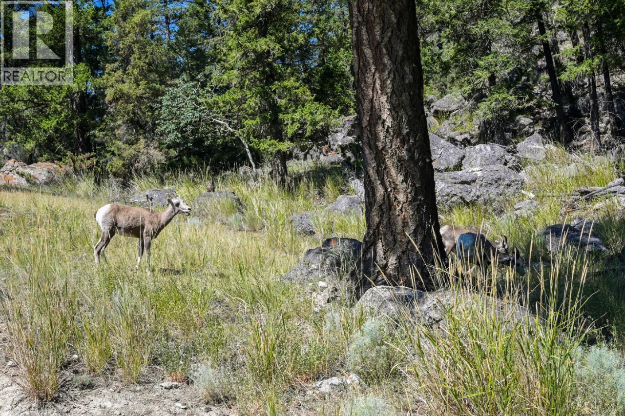 8679 Cottage Lane, Canal Flats, British Columbia  V0B 1B0 - Photo 28 - 10374127