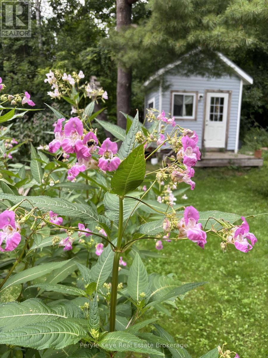 15 East Elliott Street, Huntsville, Ontario  P1H 1W8 - Photo 42 - X12589134