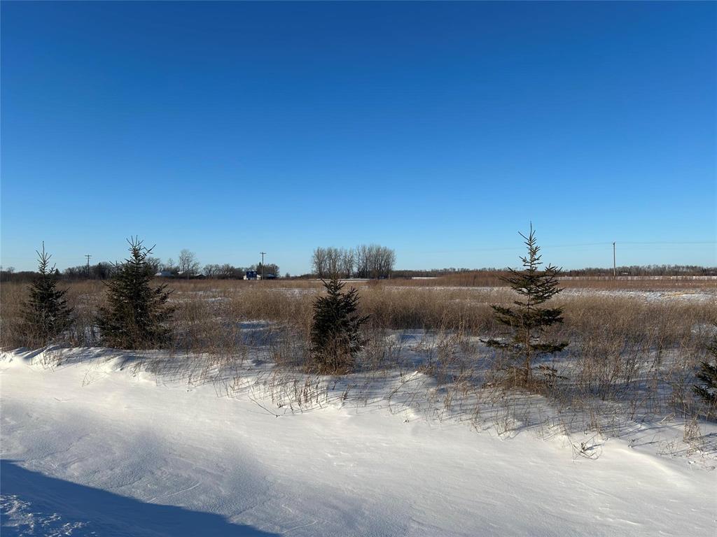 41 Pleasant Pine Place, Steinbach, Manitoba  R0A 0N0 - Photo 0 - 202601663