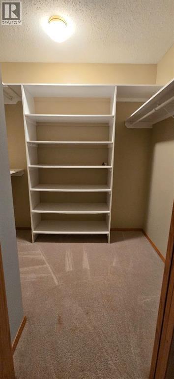 4821 47 Streetclose, Innisfail, Alberta  T4G 1V4 - Photo 15 - A2258917