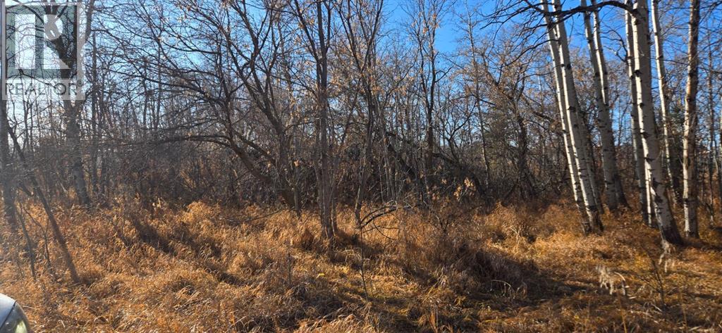 4832 46 Street, Mirror, Alberta  T0B 3C0 - Photo 2 - A2268441