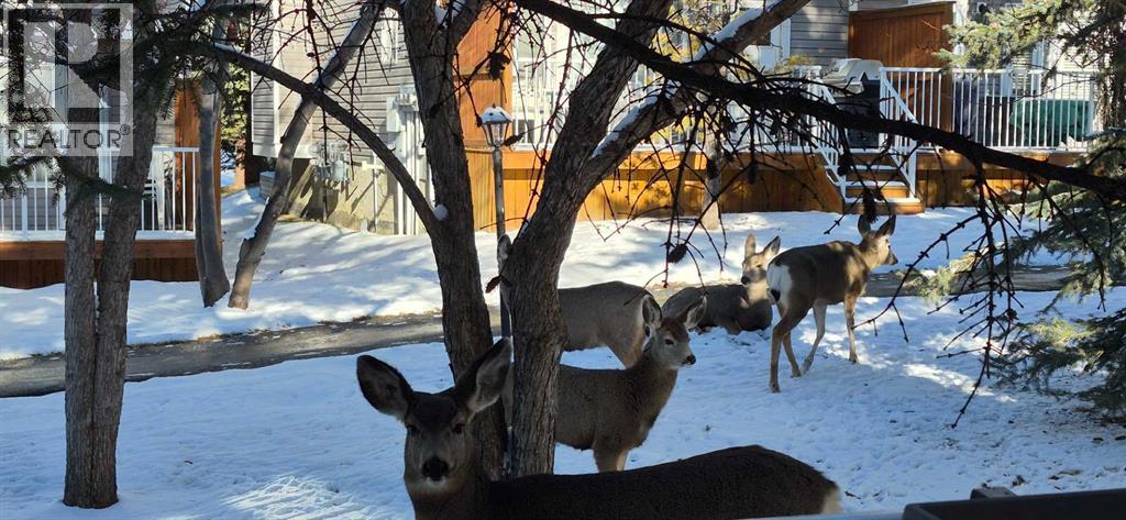 206 Cedarwood Park Sw, Calgary, Alberta  T2W 5T6 - Photo 24 - A2278494