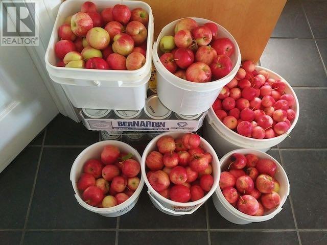 164 Doves Rd, Oxdrift, Ontario  P0V 2J0 - Photo 36 - TB251288