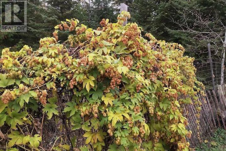 164 Doves Rd, Oxdrift, Ontario  P0V 2J0 - Photo 39 - TB251288