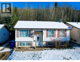 156 Gwillim Crescent, tumbler ridge, British Columbia