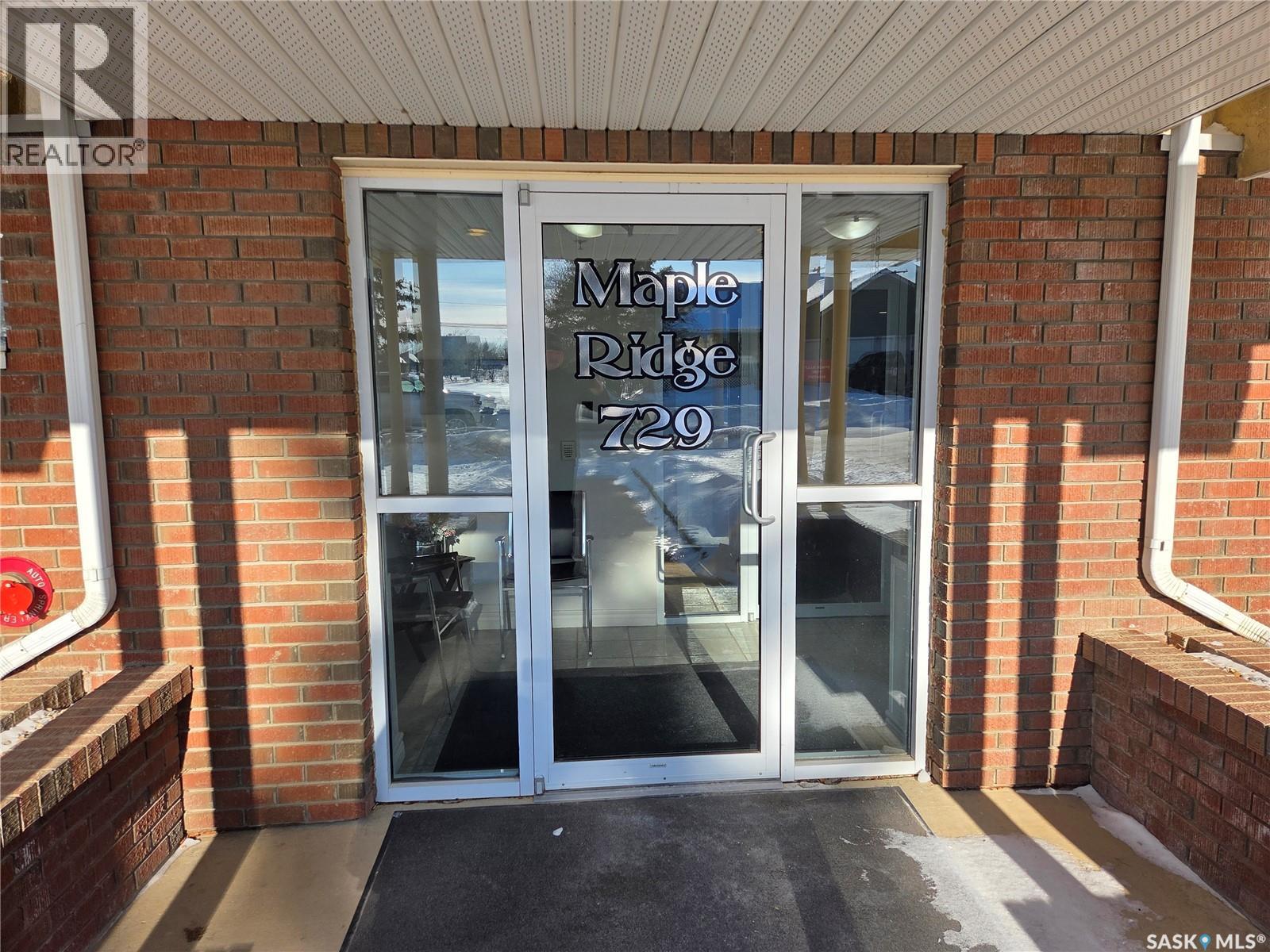 202 729 101st Avenue, Tisdale, Saskatchewan  S0E 1T0 - Photo 23 - SK027513