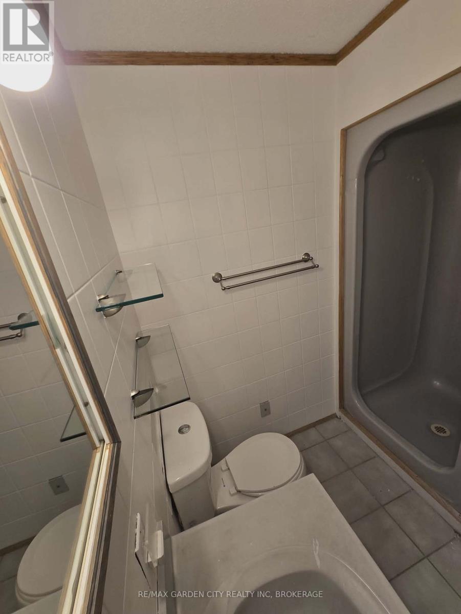 Upper Back - 215 Roberts Road, Grimsby, Ontario  L3M 4E8 - Photo 6 - X12736370