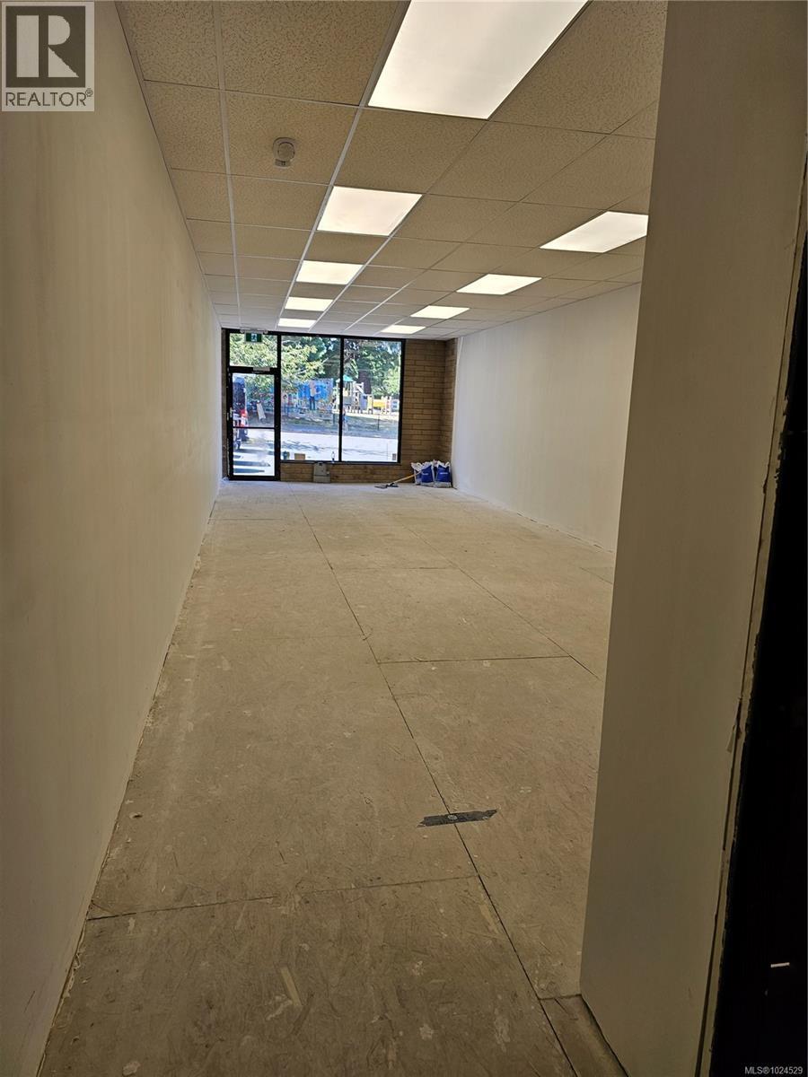 259 Menzies St, Victoria, British Columbia  V8V 3N6 - Photo 6 - 1024529