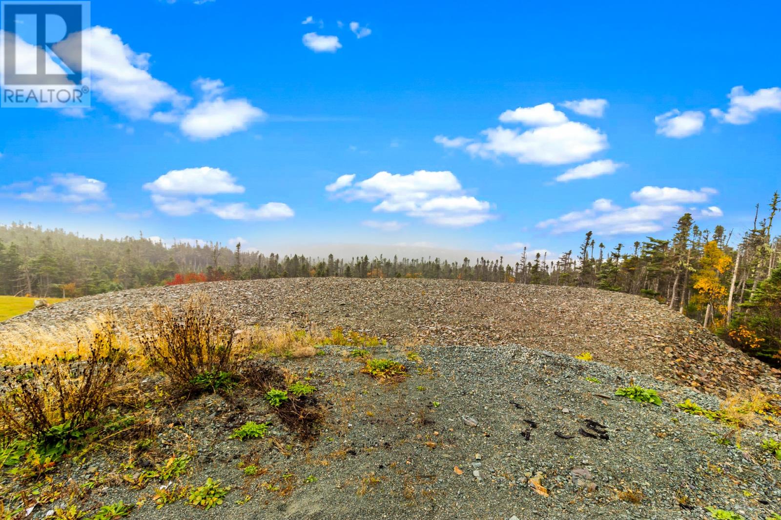 18 Tuckford Road, St. Philips, Newfoundland & Labrador  A1M 1R7 - Photo 10 - 1294170