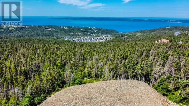 18 Tuckford Road, St. Philips, Newfoundland & Labrador  A1M 1R7 - Photo 2 - 1294170