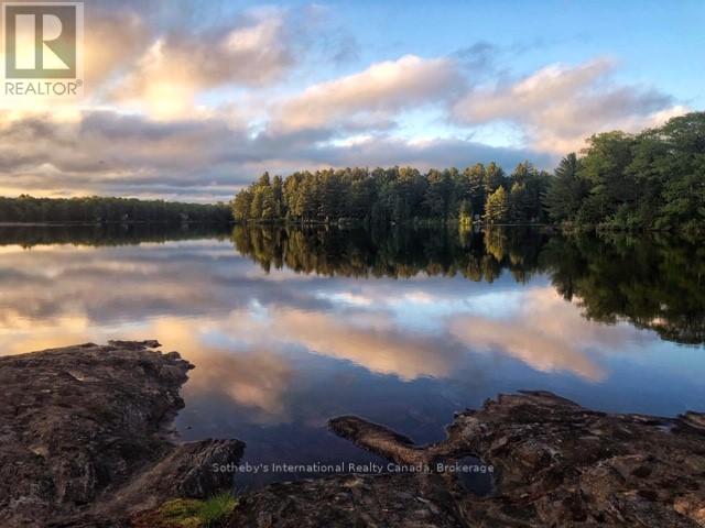 463 Otter Lake Road, Huntsville, Ontario  P1H 2J3 - Photo 3 - X12434776