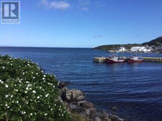 213a Main Road, Winterton, Newfoundland & Labrador  A0B 3M0 - Photo 12 - 1294124
