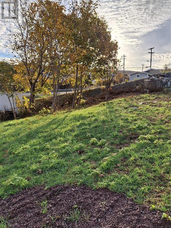 213a Main Road, Winterton, Newfoundland & Labrador  A0B 3M0 - Photo 4 - 1294124