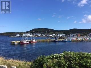 213a Main Road, Winterton, Newfoundland & Labrador  A0B 3M0 - Photo 1 - 1294123