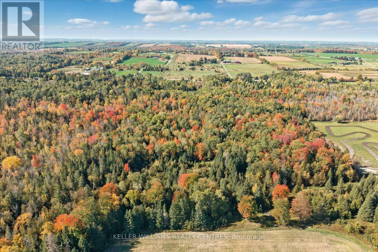 11601 Concession 3 Road, Uxbridge, Ontario  L9L 1R1 - Photo 48 - N12736554