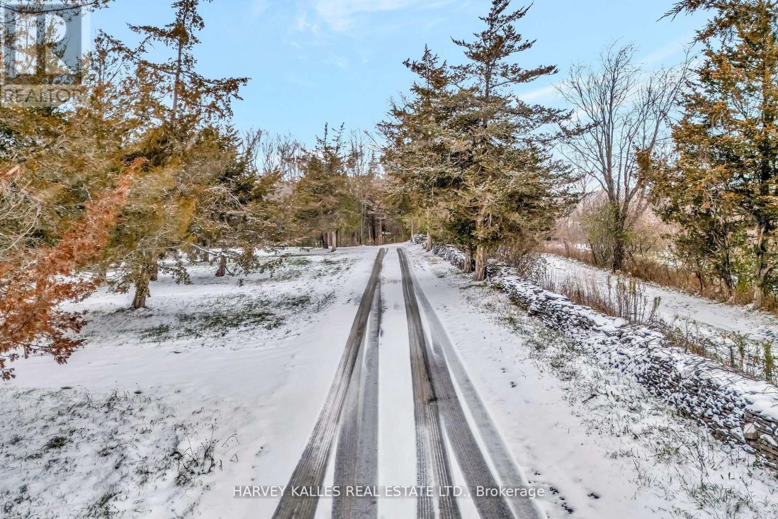 58 Valhalla Lane, Prince Edward County, Ontario  K0L 1P0 - Photo 4 - X12736576