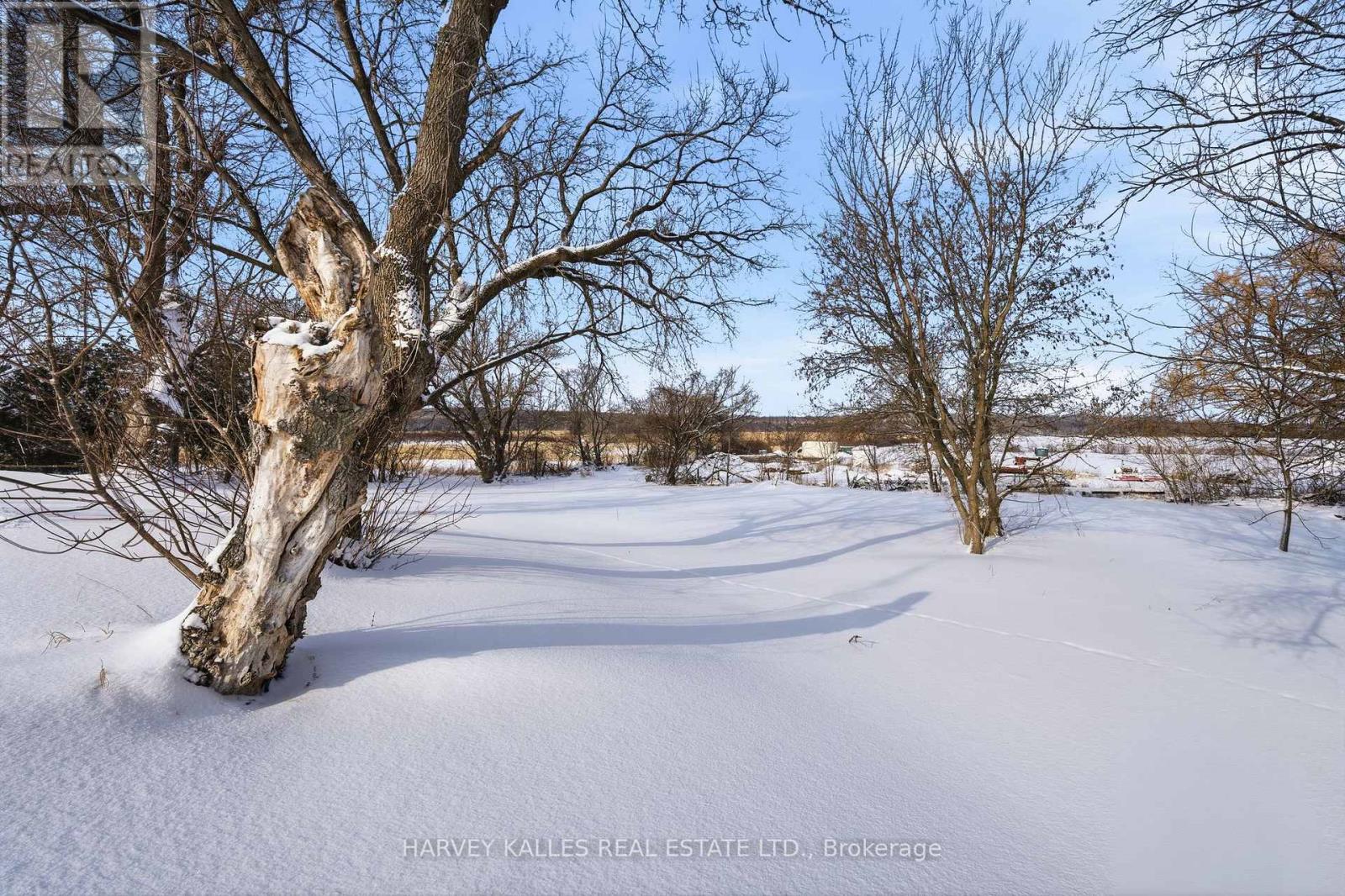8 - 4427 County Road, Prince Edward County, Ontario  K0K 2T0 - Photo 30 - X12583650