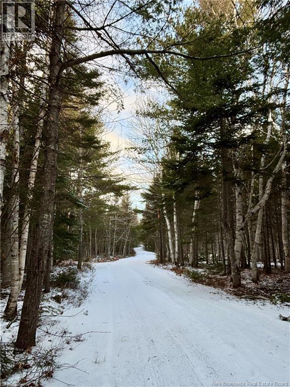 262 Straightbrook Road, Tabusintac, New Brunswick  E9H 2B3 - Photo 30 - NB132716