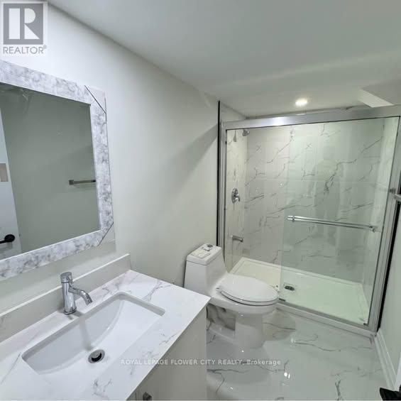 Basement - 17 Huntington Drive, Barrie (Northwest), Ontario L4N 9T3 - Photo 5 - S12736788