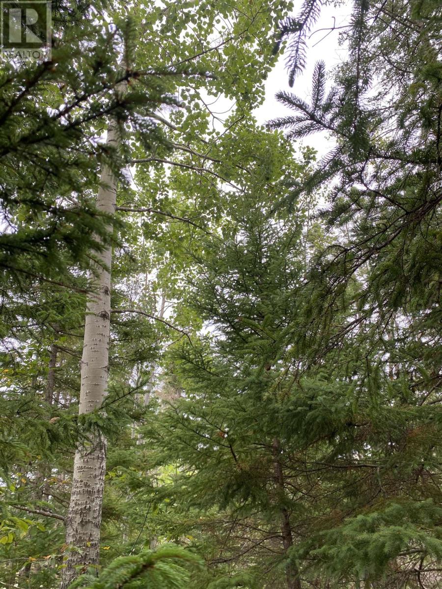 Lot 6 Floating Bridge Road, Murray River, Prince Edward Island  C0A 1W0 - Photo 7 - 202601637