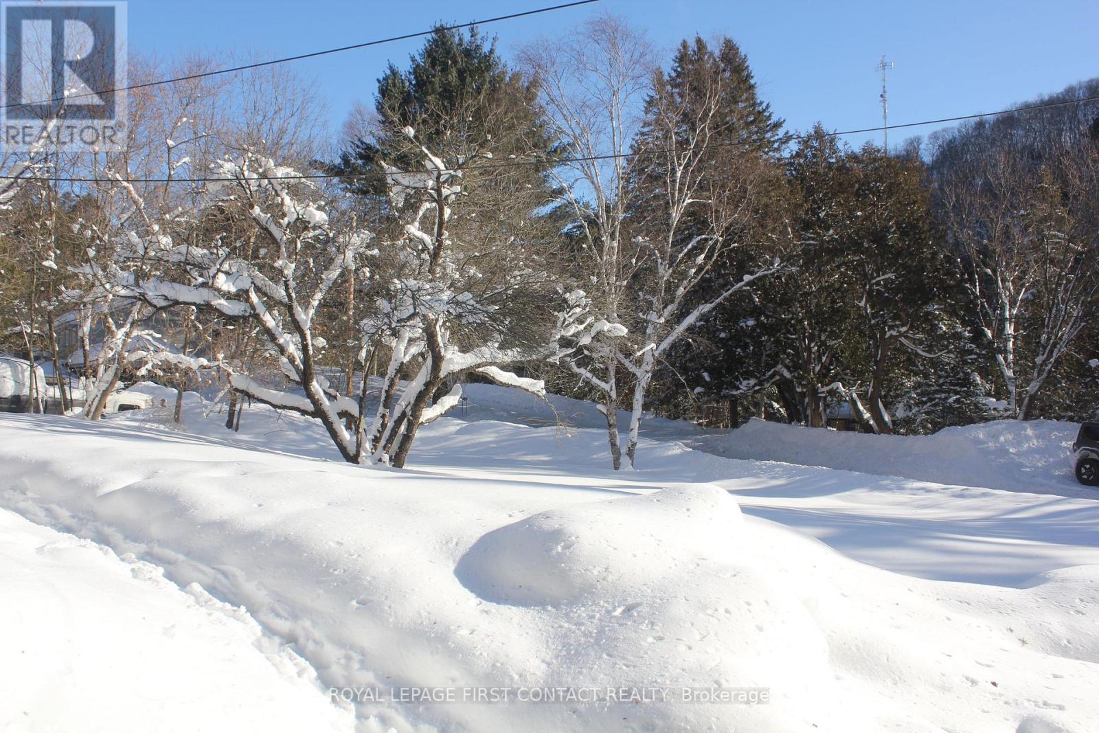 47 Riverside Drive, Dysart Et Al, Ontario  K0M 1S0 - Photo 5 - X12736762